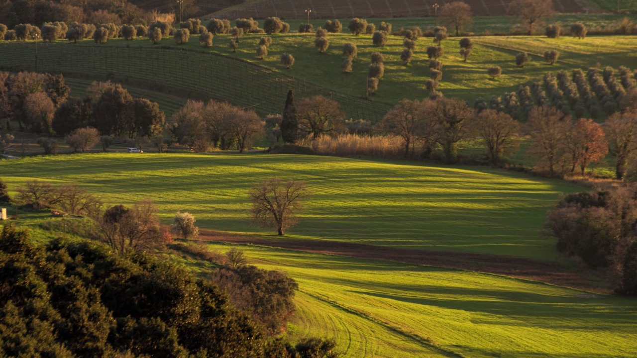 Photo of Outdoor in Magliano in Toscana