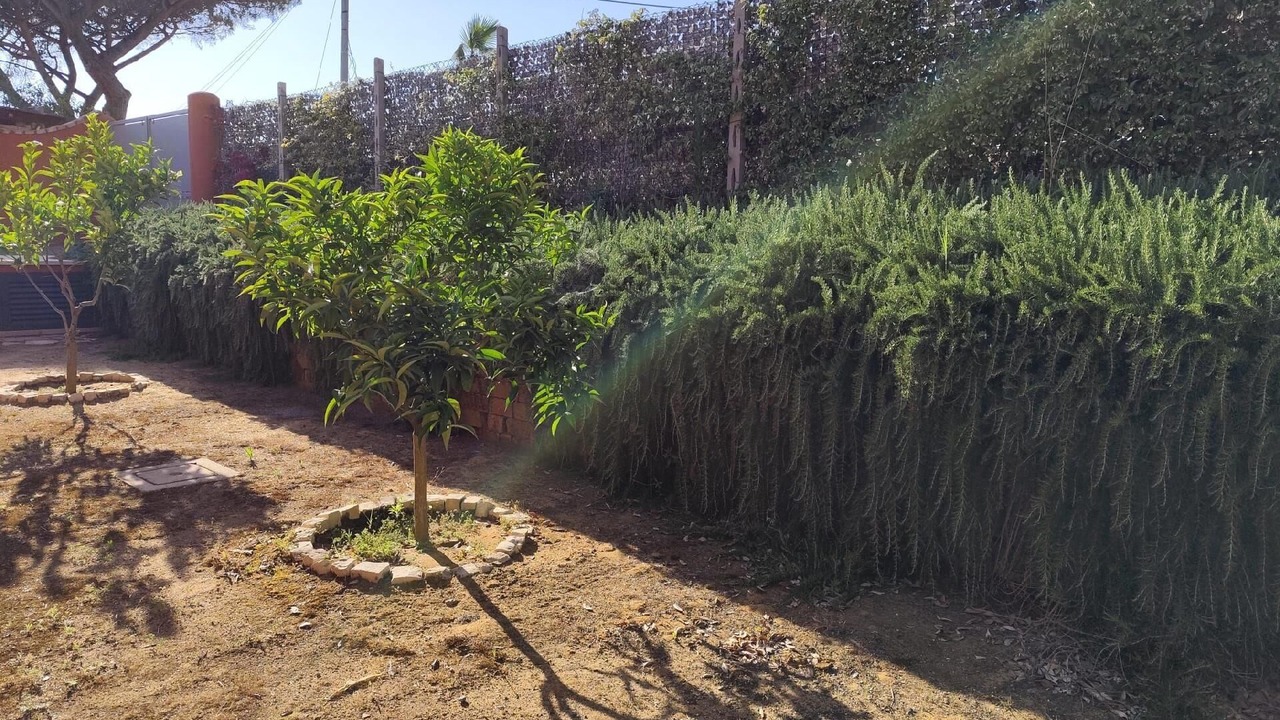 Photo of Outdoor in Sabaudia