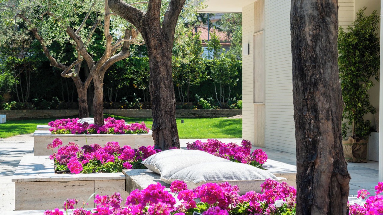Photo of Outdoor in Montesilvano