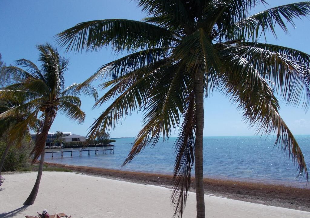 Photo of Others in Islamorada