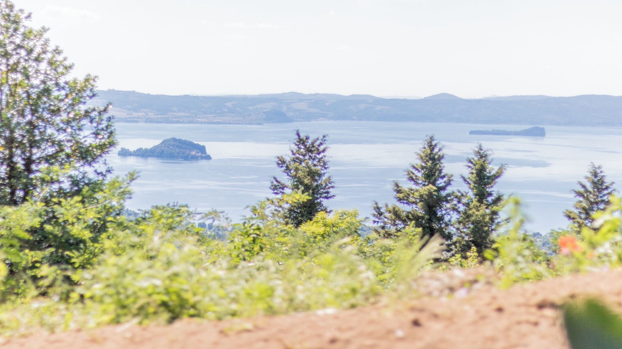 Photo of Outdoor in Montefiascone