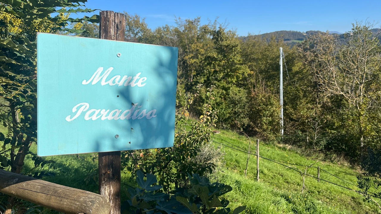 Photo of Outdoor in Pietralunga