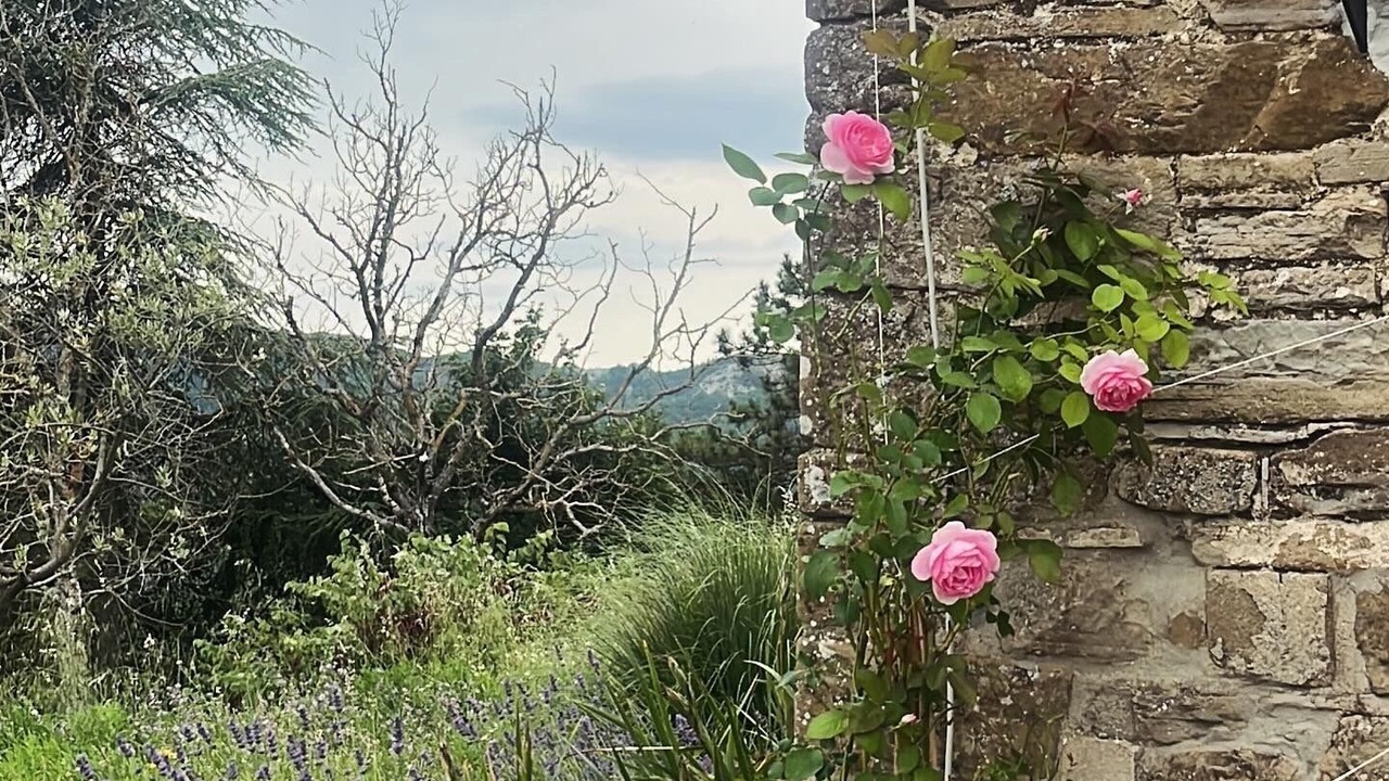 Photo of Outdoor in Pietralunga