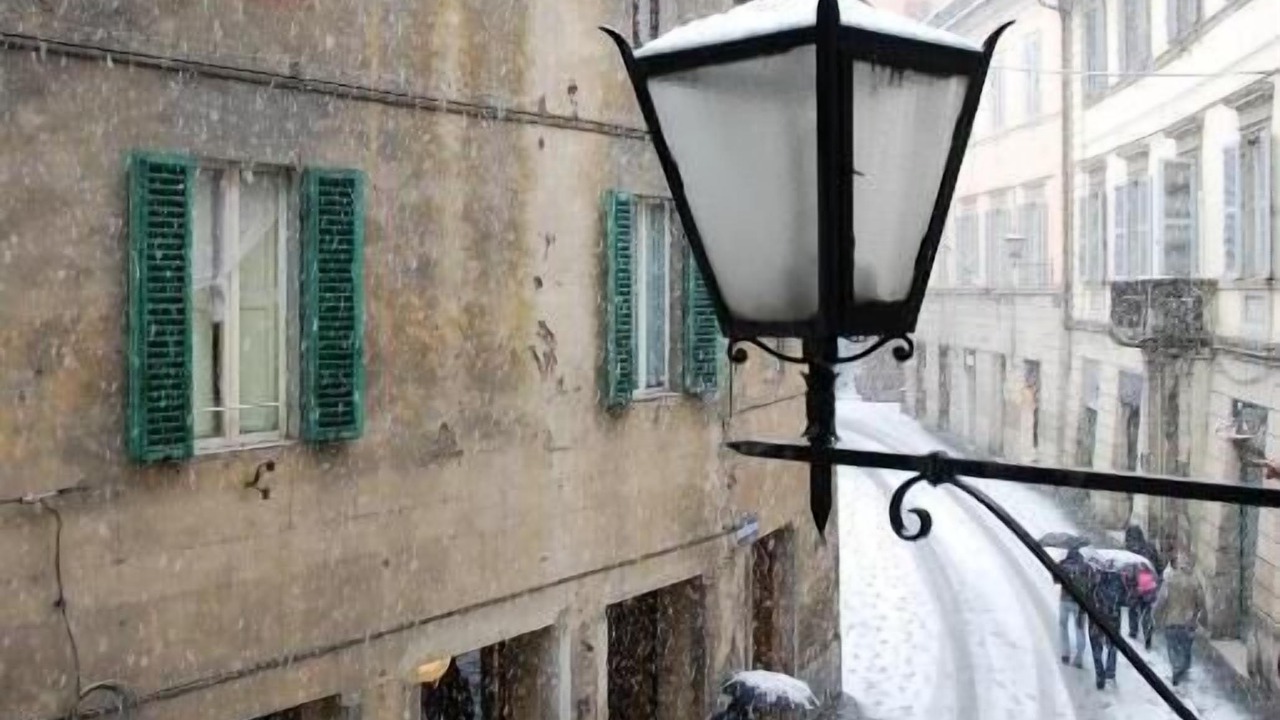 Photo of Others in Siena Historical Center