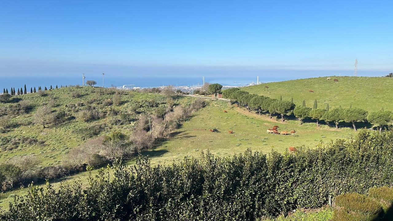 Photo of Outdoor in Civitavecchia
