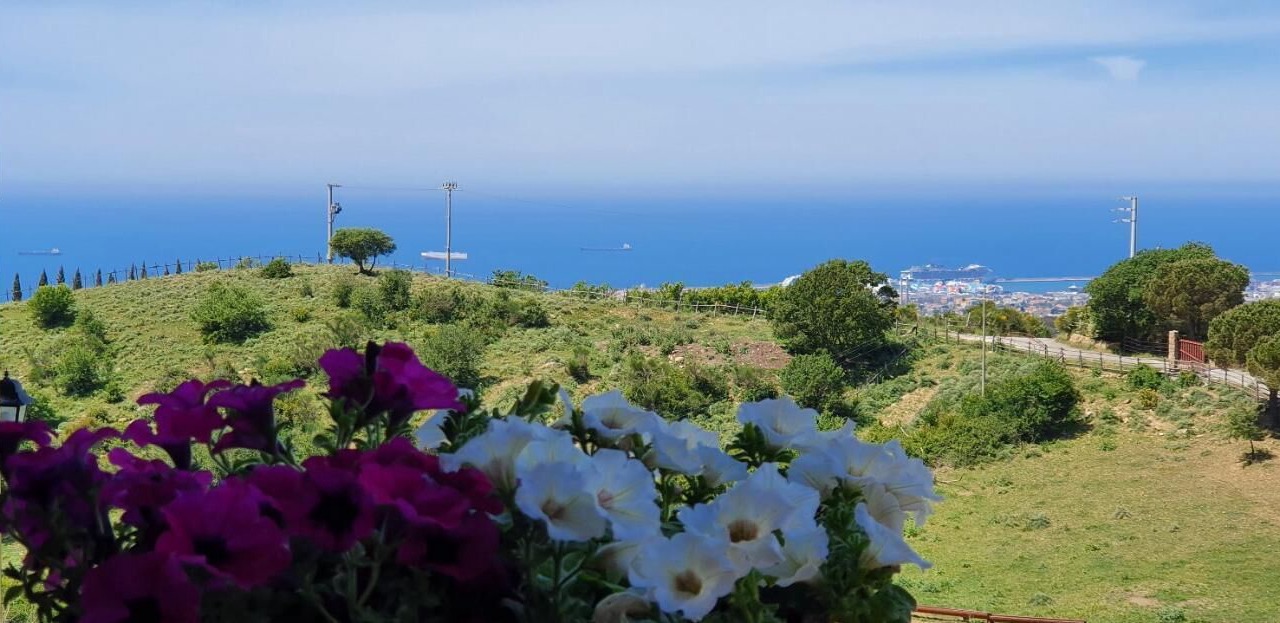 Photo of Outdoor in Civitavecchia