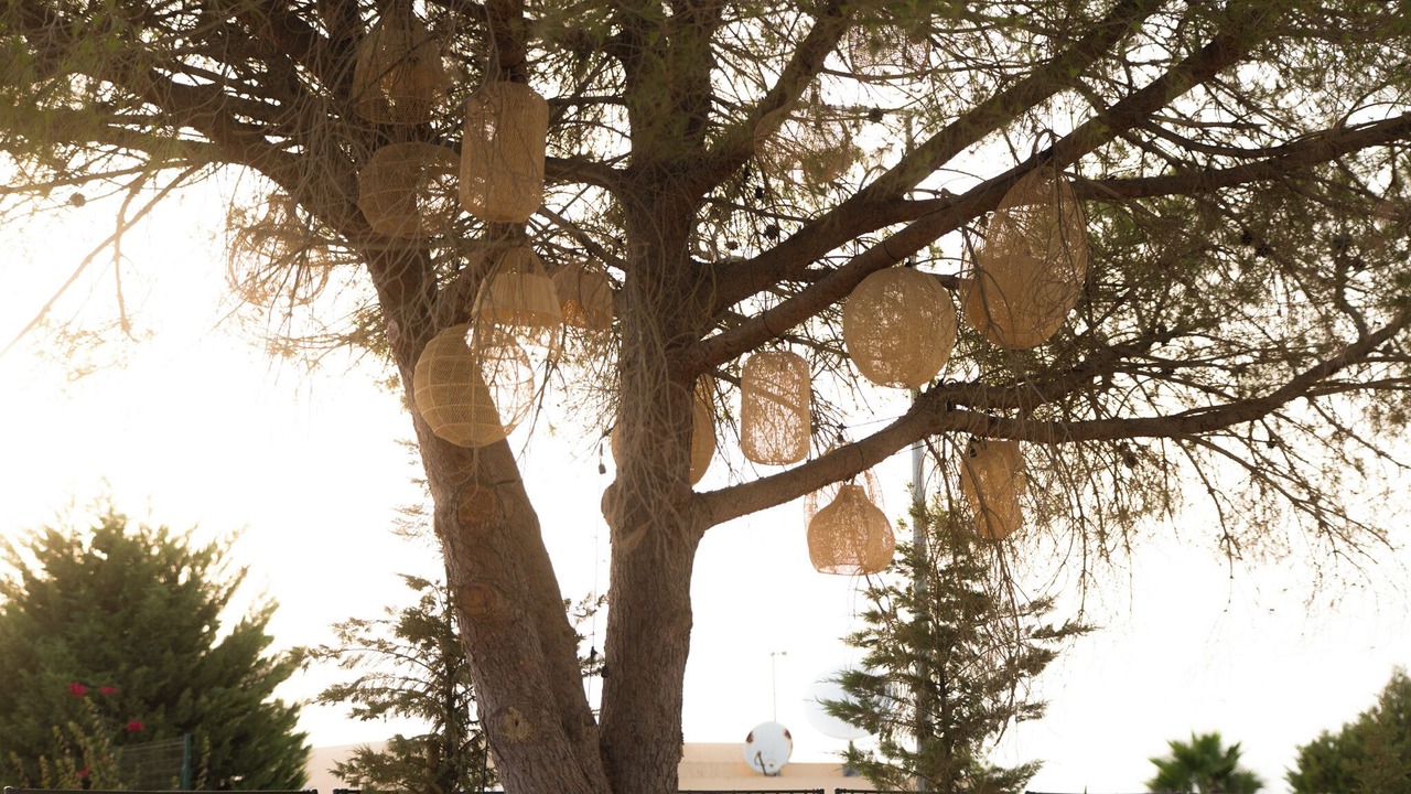 Photo of Outdoor in Castelo