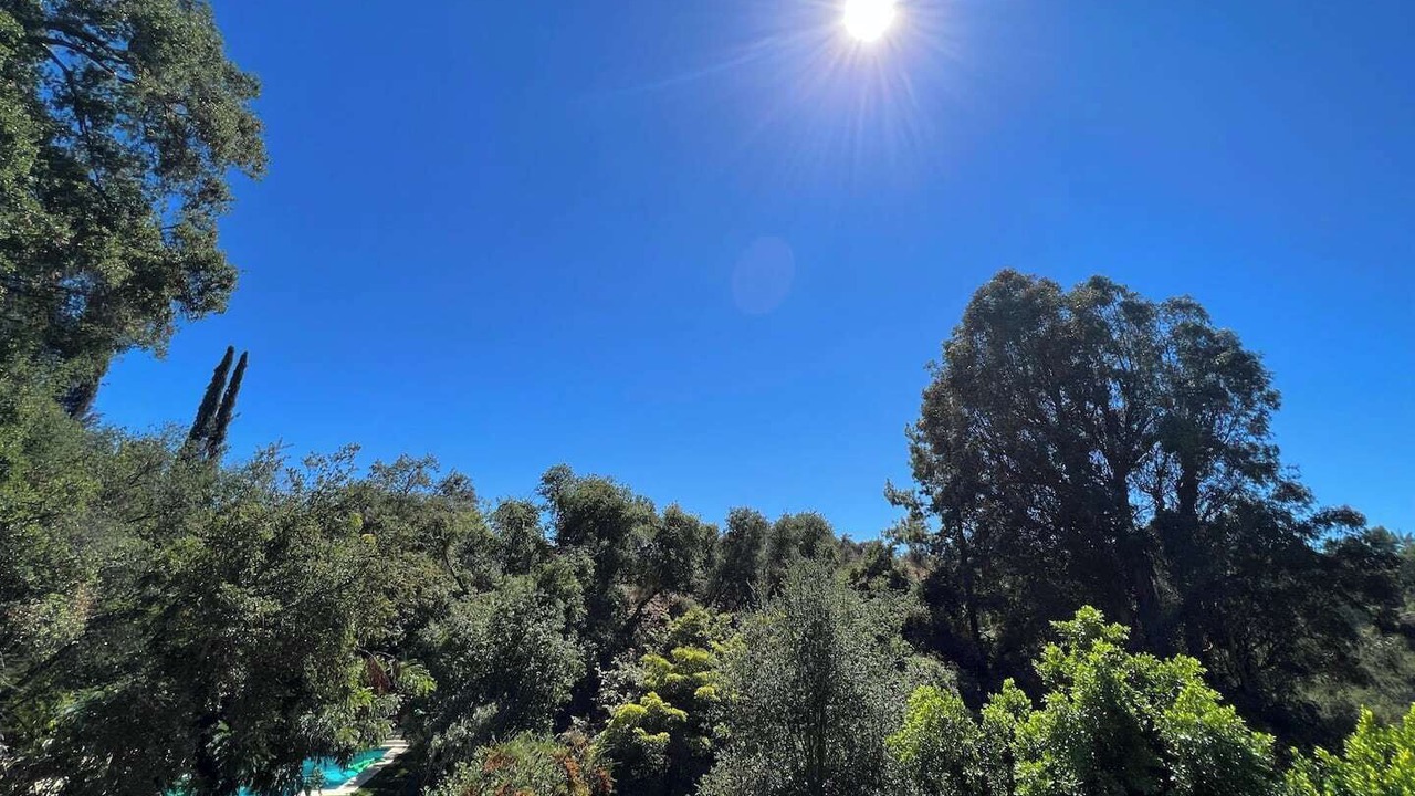 Photo of Others in Beverly Glen