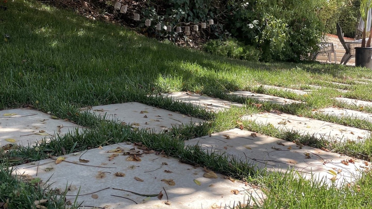 Photo of Outdoor in Beverly Glen