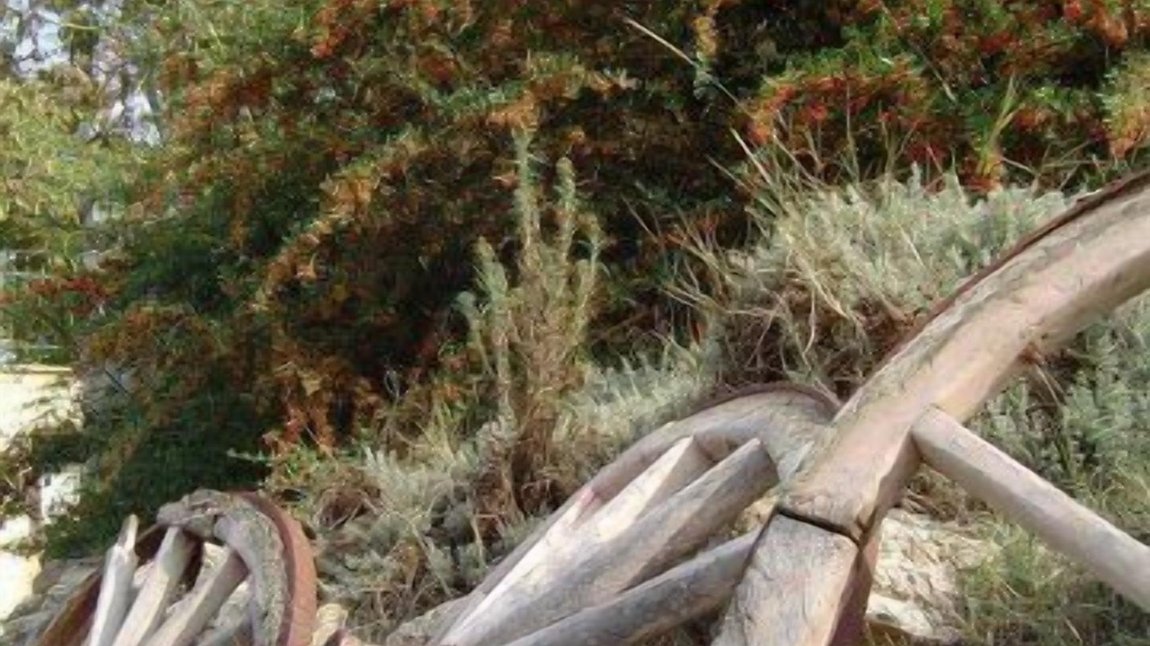 Photo of Outdoor in Orte