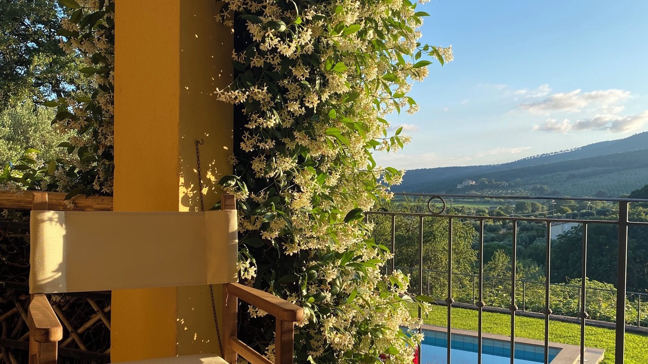 Photo of Outdoor in Lake Bracciano