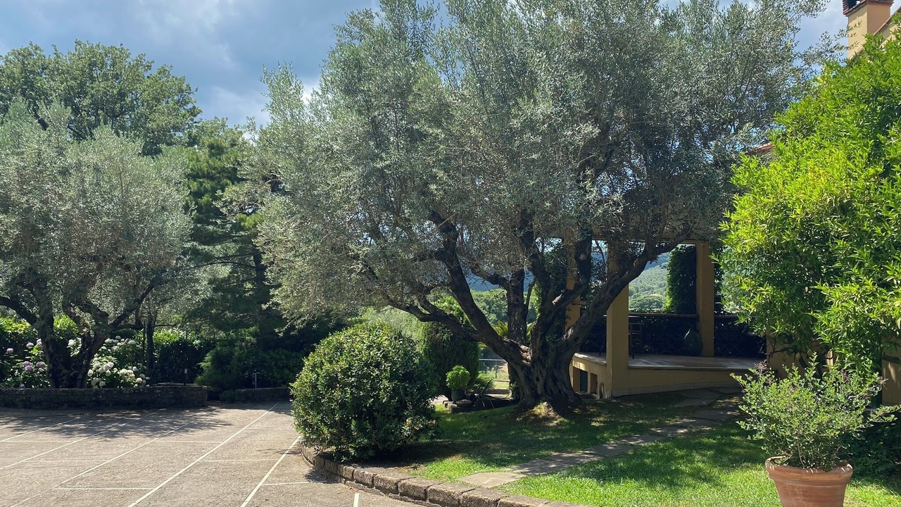 Photo of Outdoor in Lake Bracciano