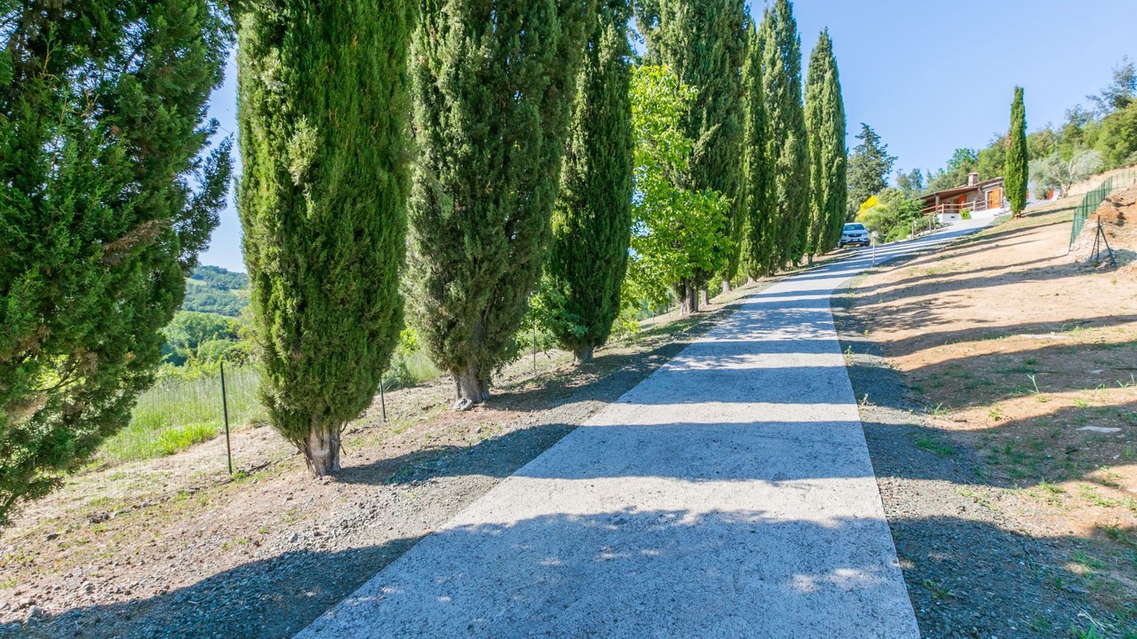Photo of Outdoor in Montecatini Val di Cecina