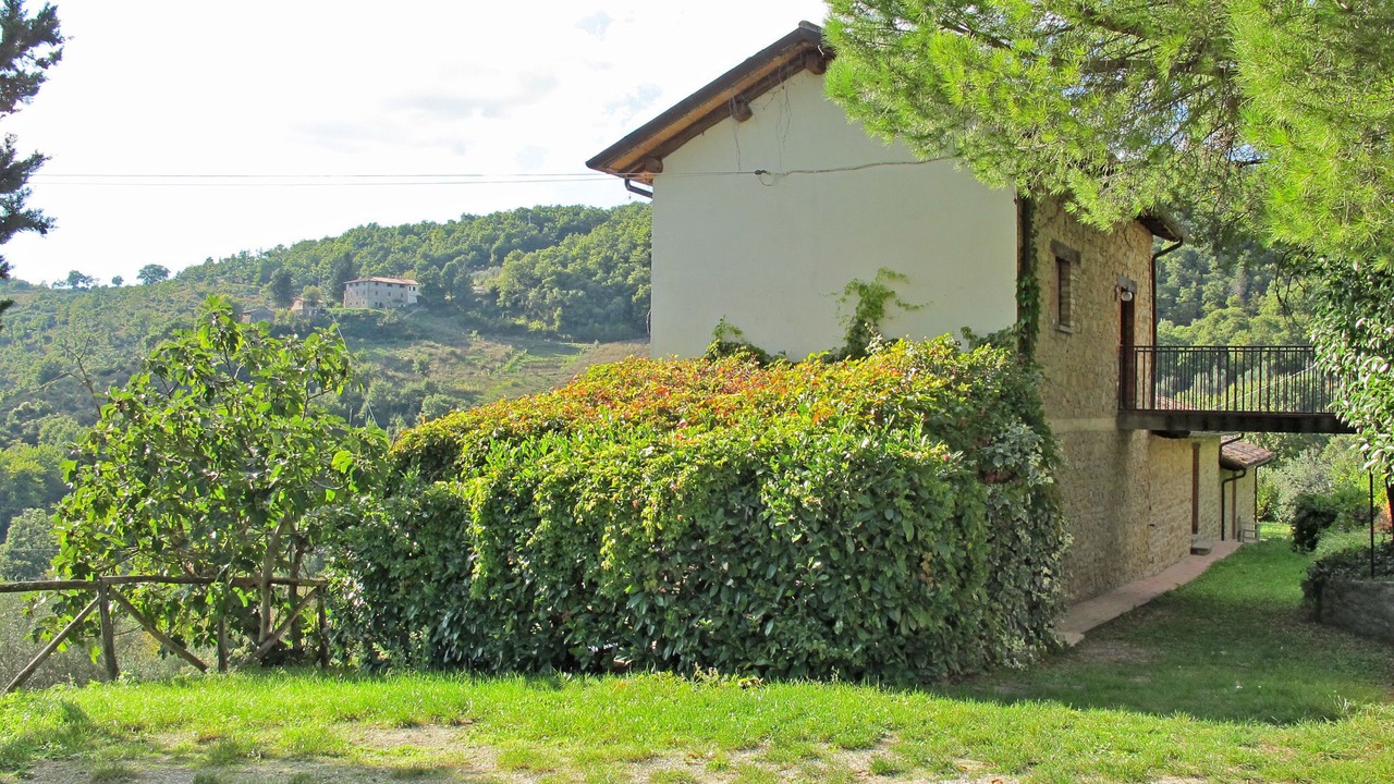 Photo of Outdoor in Monte Santa Maria Tiberina