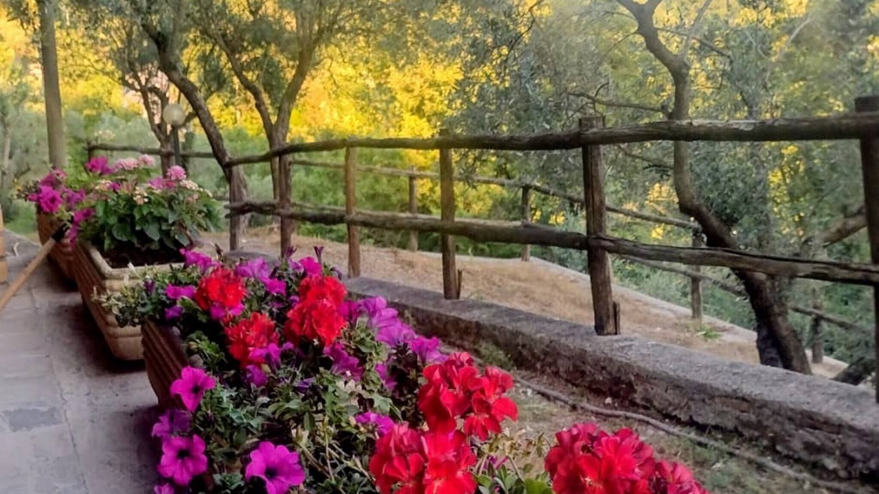 Photo of Outdoor in Cittaducale