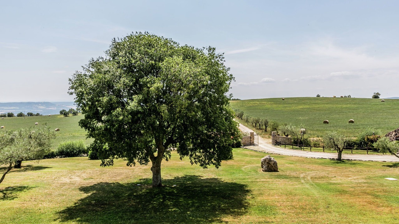 Photo of Others in Montoro
