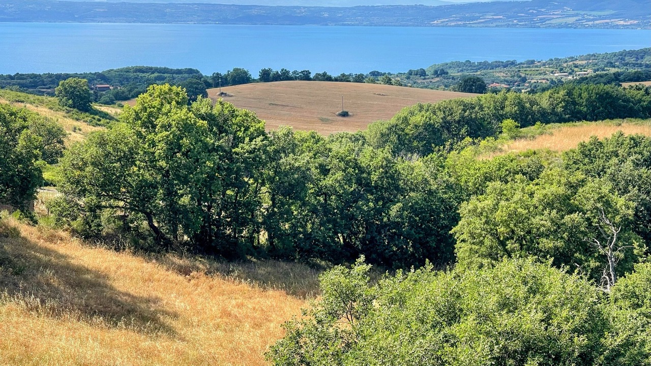 Photo of Outdoor in Montefiascone