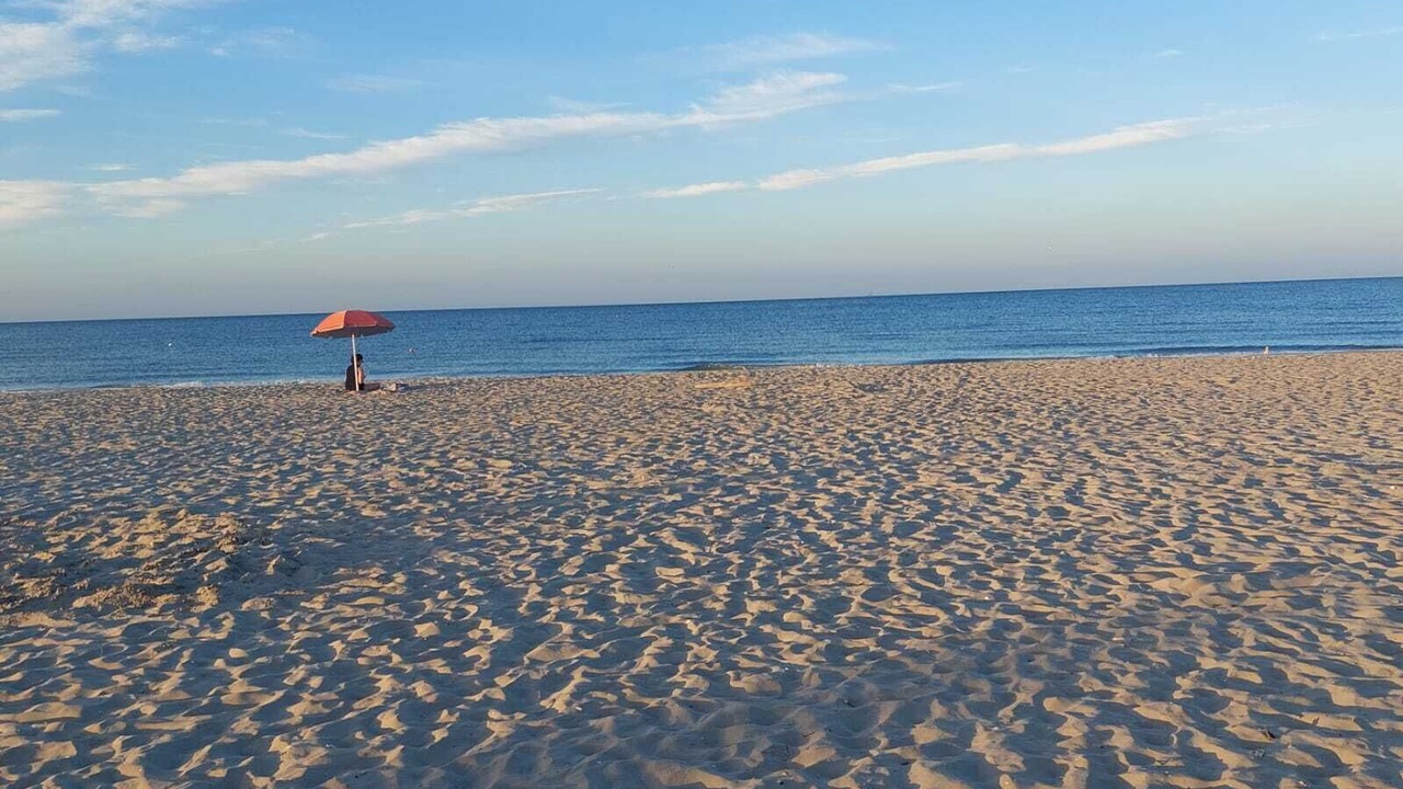 Photo of Outdoor in Pinarella