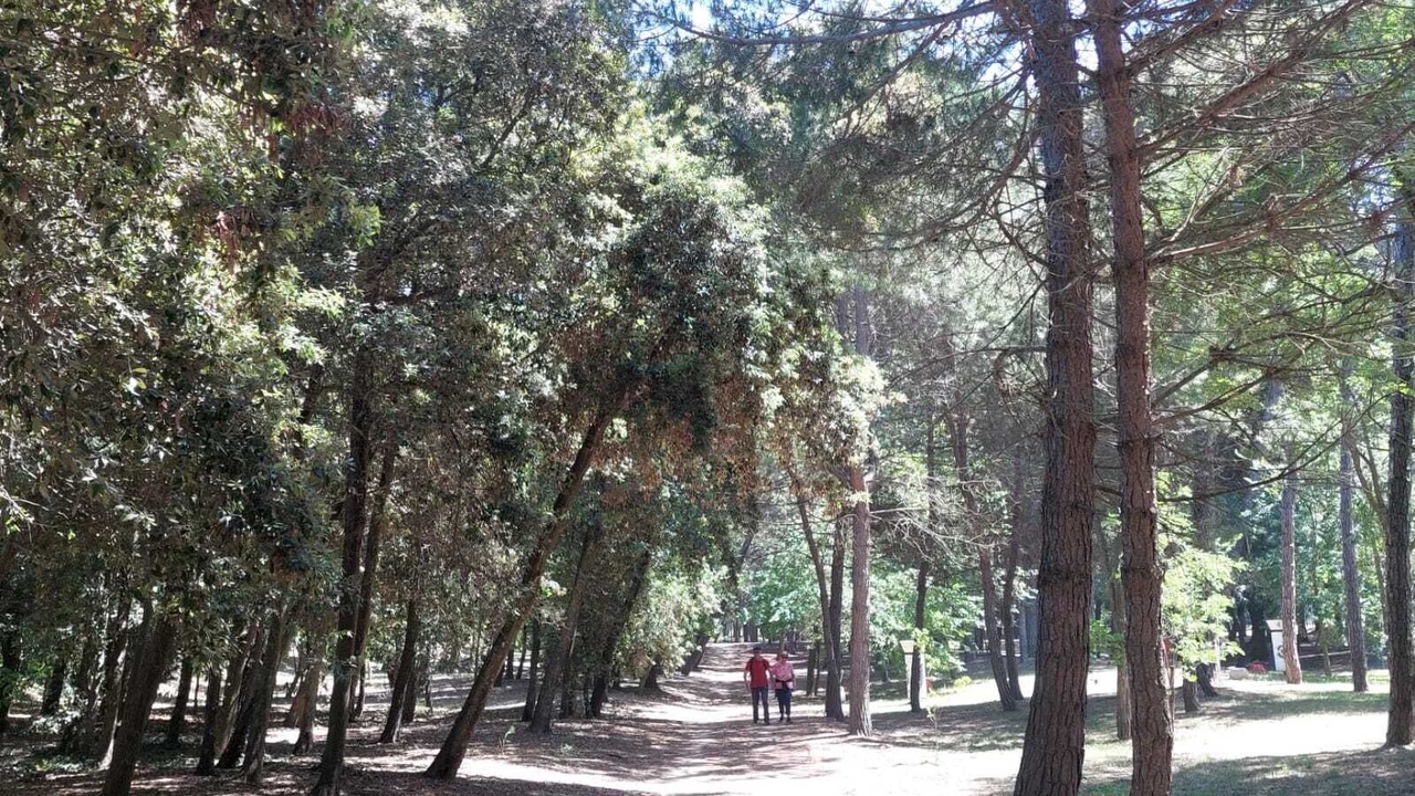 Photo of Outdoor in Pinarella