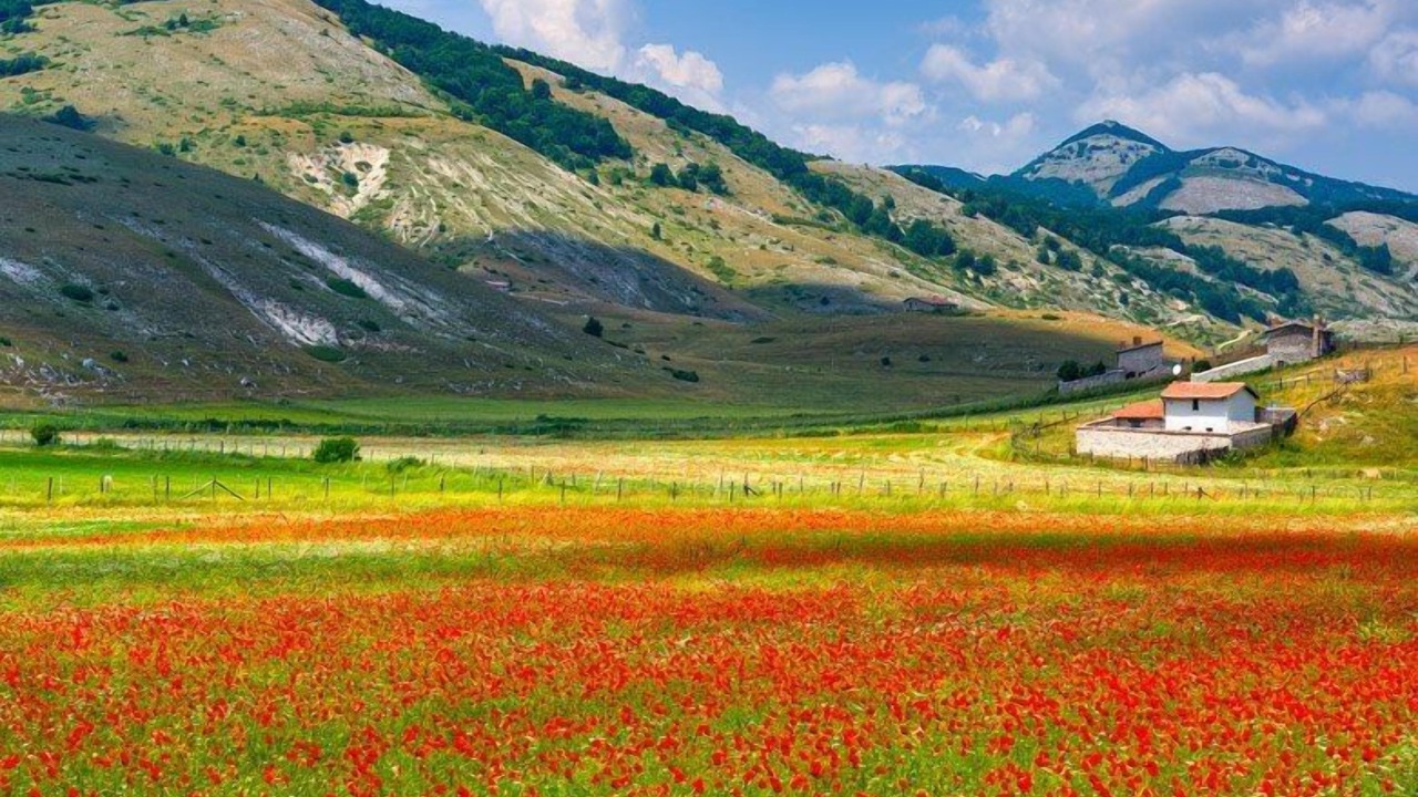 Photo of Outdoor in Scoppito