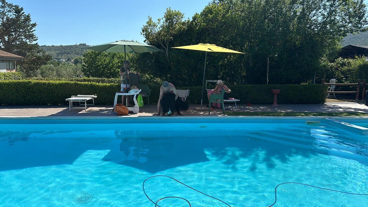 Photo of Outdoor in Grosseto