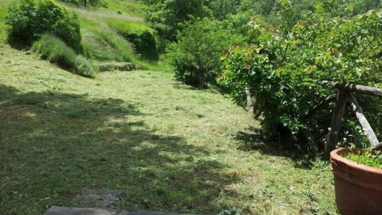 Photo of Outdoor in Talla