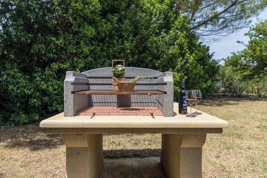 Photo of Outdoor in Montescudaio