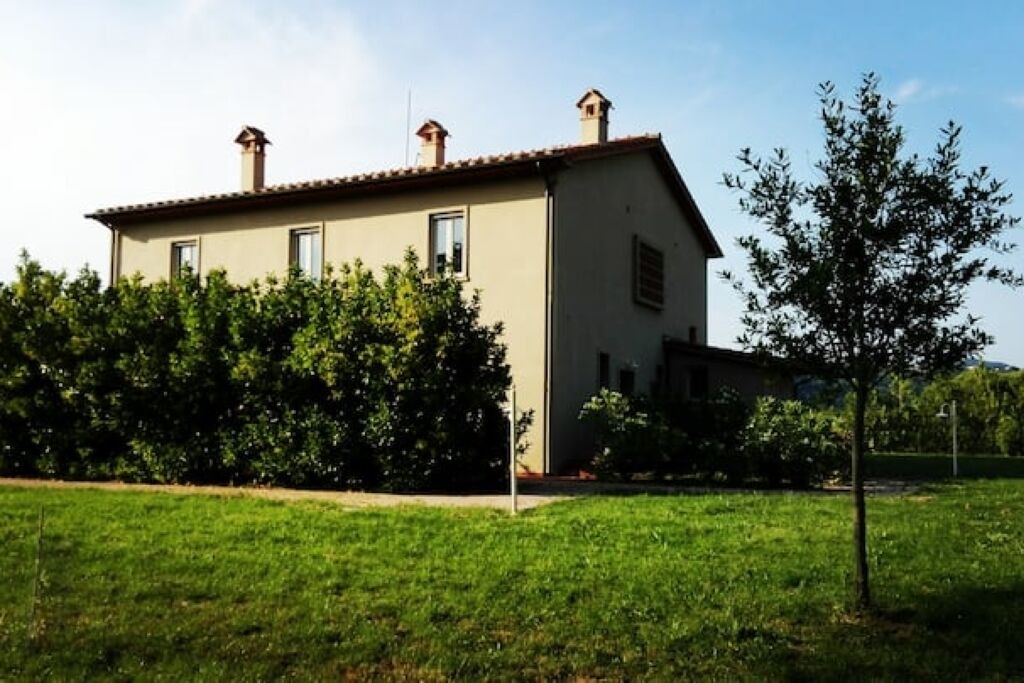 Photo of Outdoor in Montescudaio