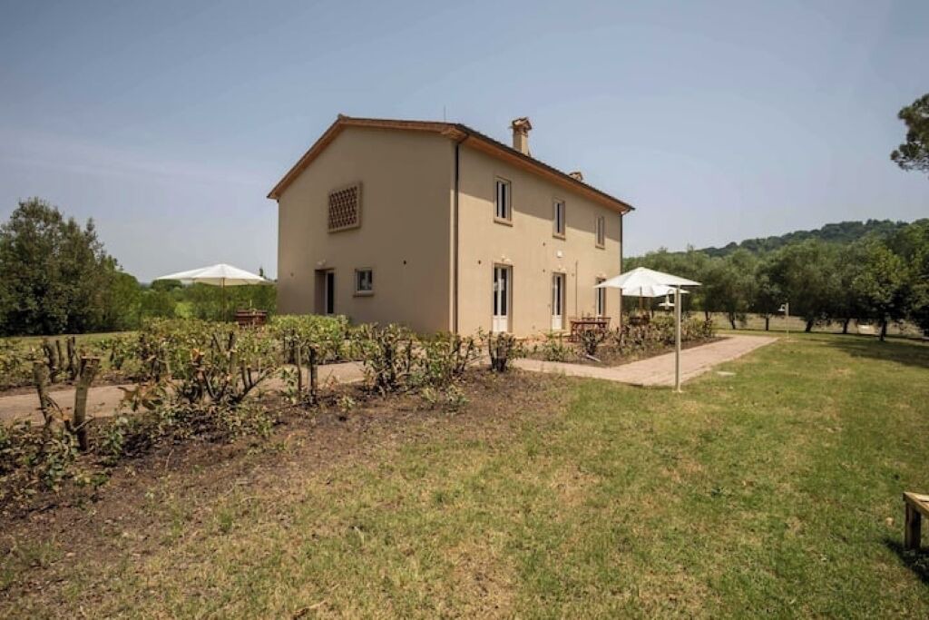 Photo of Outdoor in Montescudaio