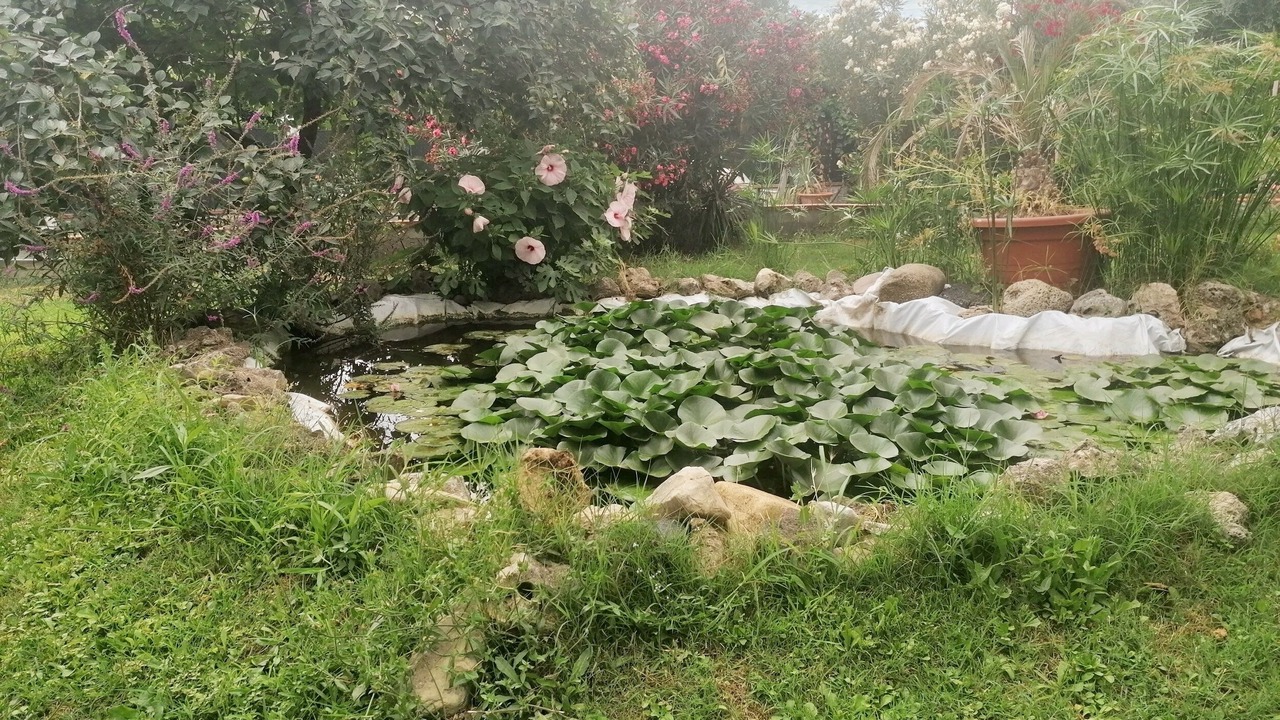 Photo of Outdoor in San Mauro Pascoli