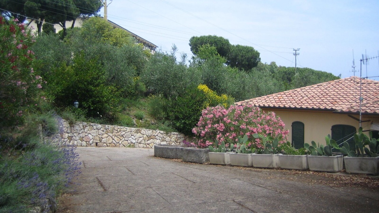 Photo of Outdoor in Naregno