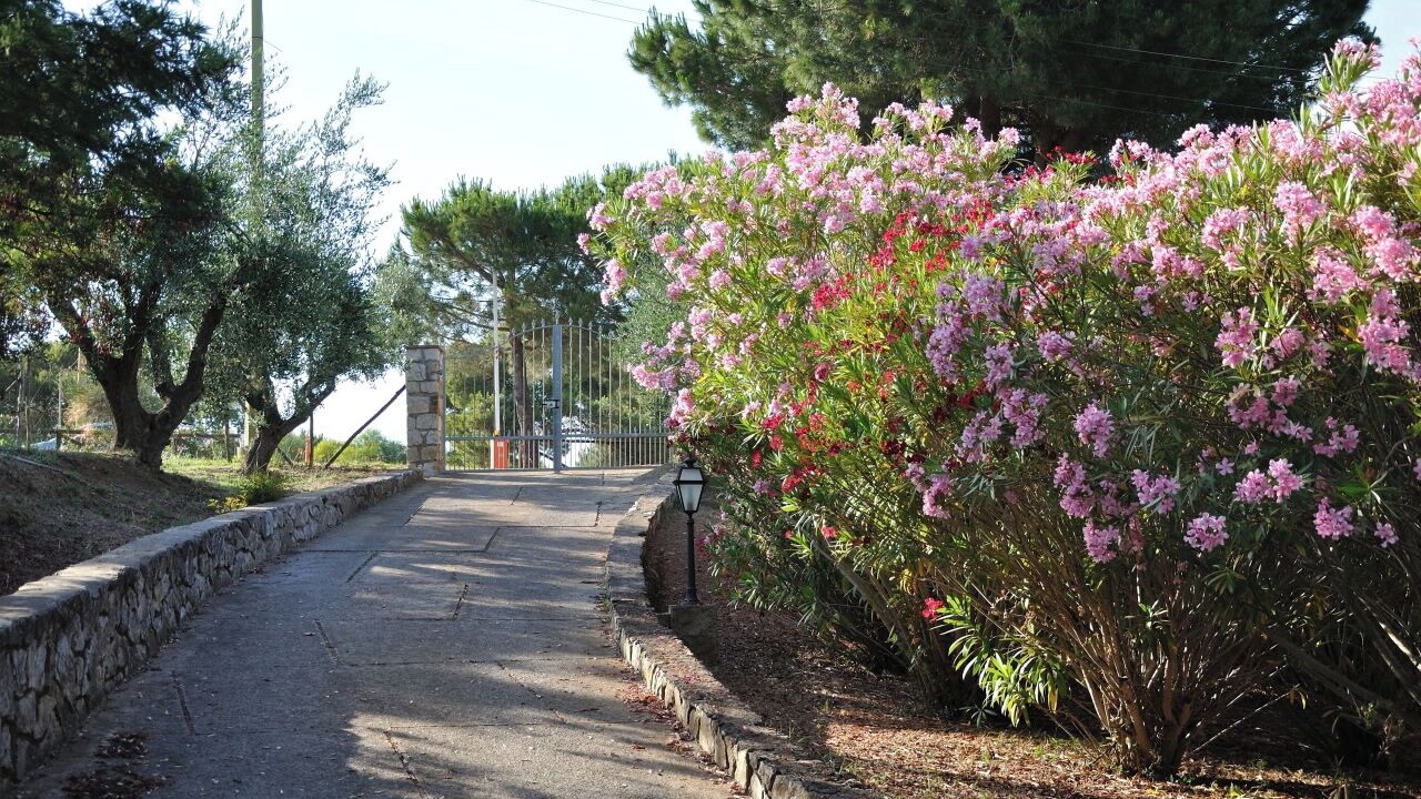 Photo of Outdoor in Naregno