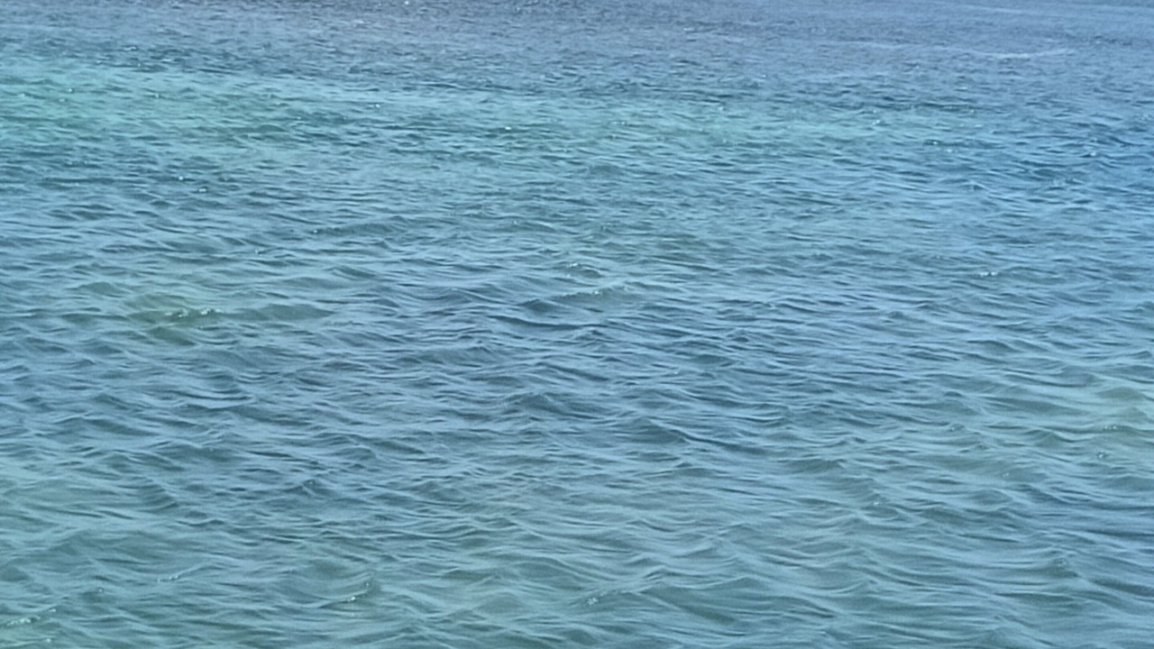 Photo of Others in Key West