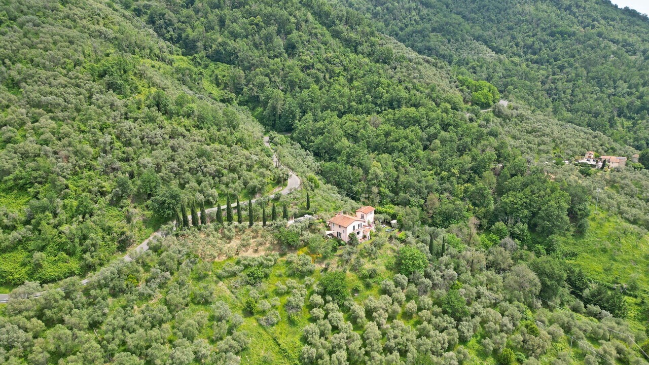 Photo of Outdoor in Ortonovo