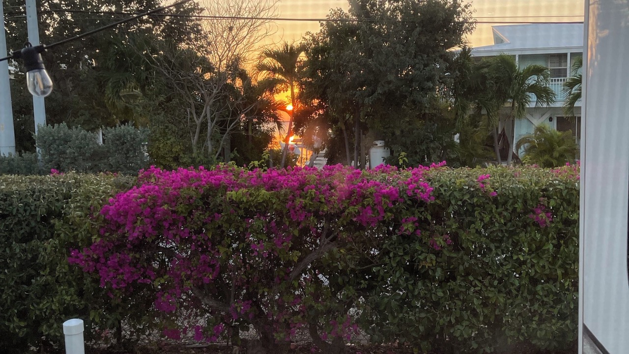 Photo of Outdoor in Cutthroat Harbor Estates