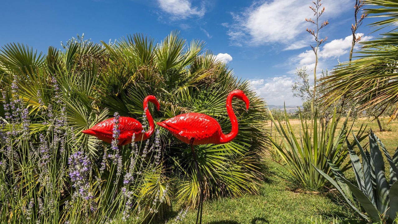 Photo of Outdoor in Cannara