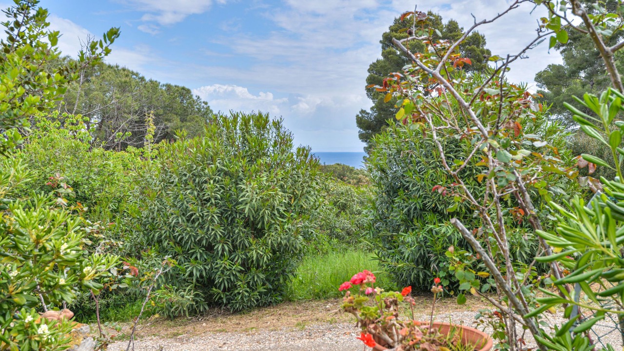 Photo of Outdoor in Capo D'arco