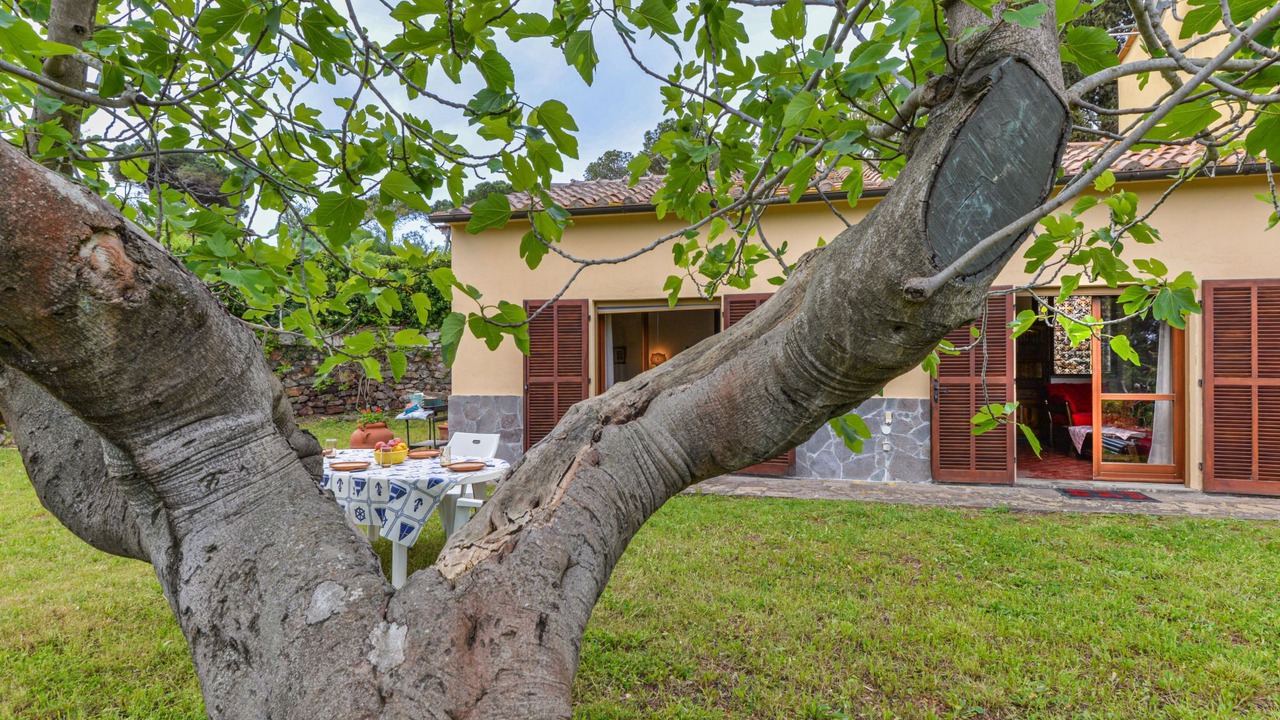 Photo of Outdoor in Capo D'arco