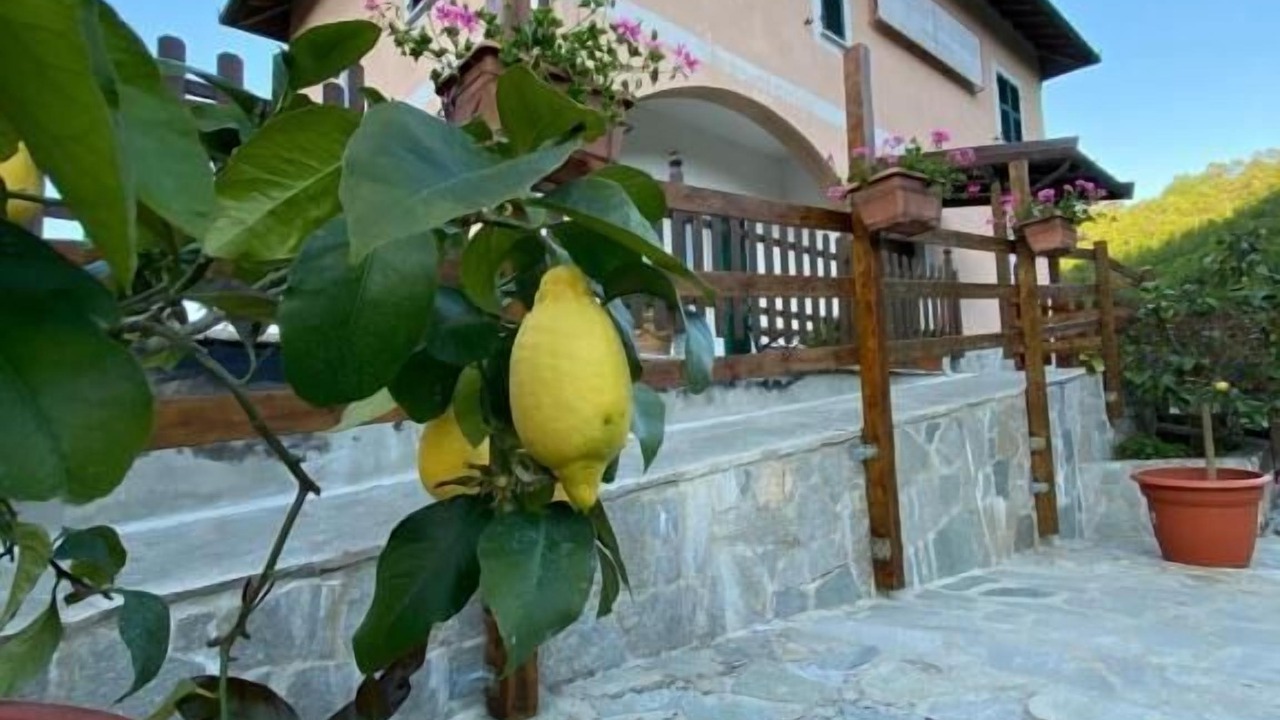 Photo of Outdoor in Pignone