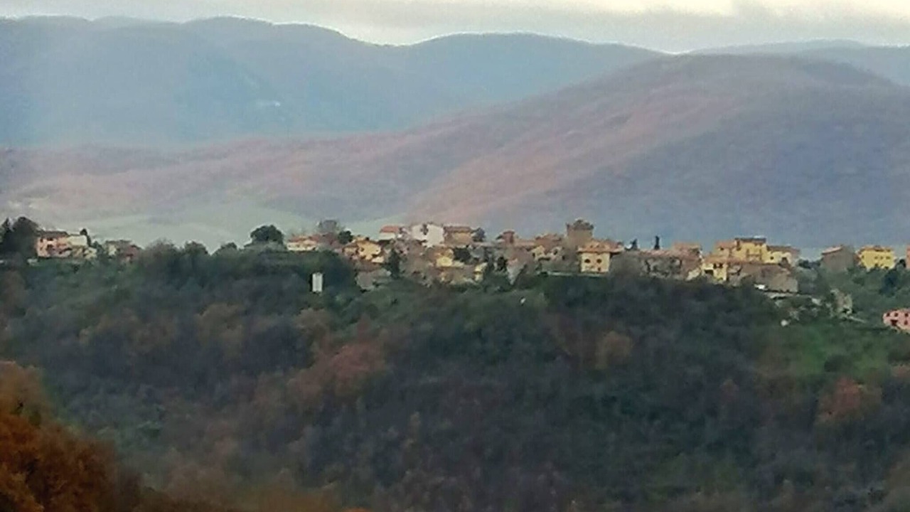 Photo of Patio Balcony in Poggio San Lorenzo