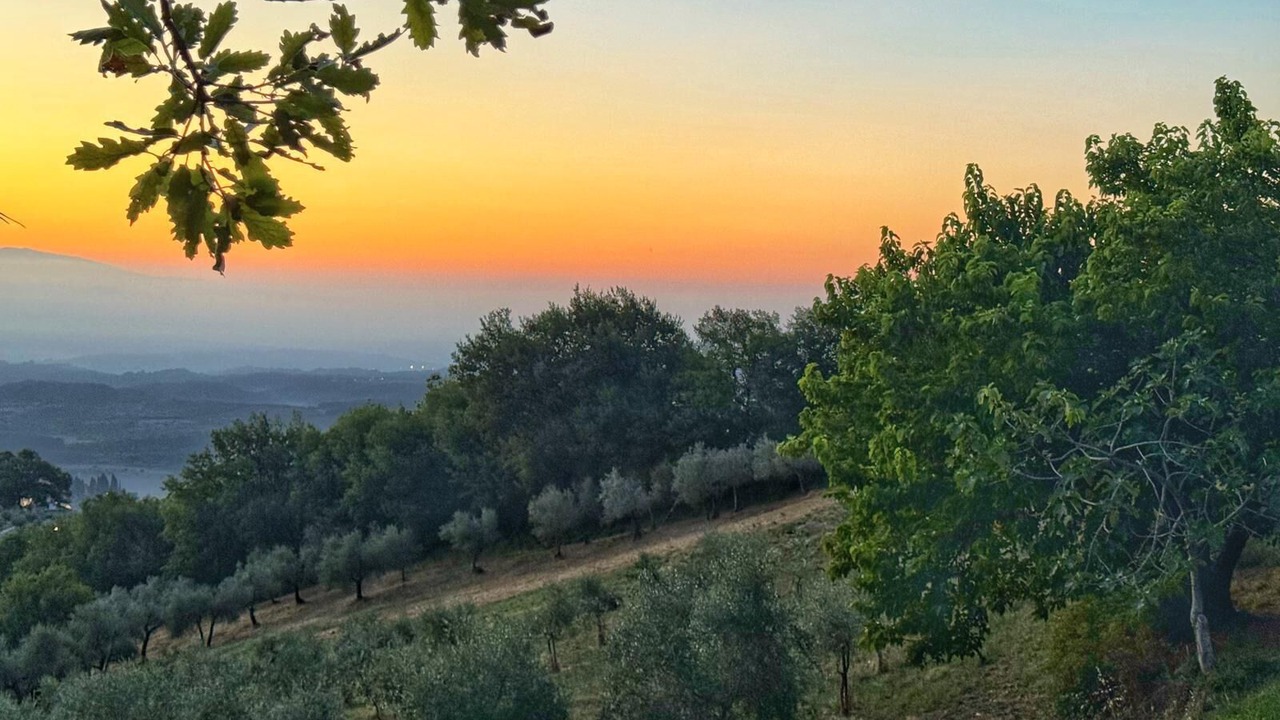 Photo of Outdoor in Neri
