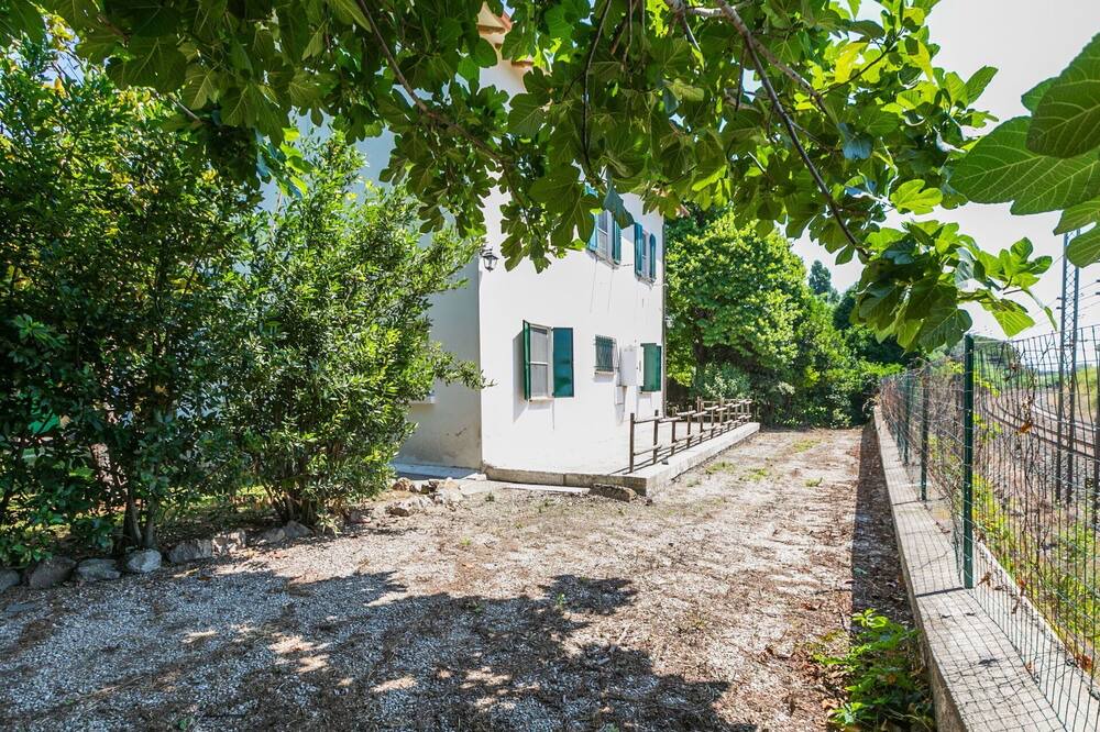 Photo of Outdoor in Pescia Romana