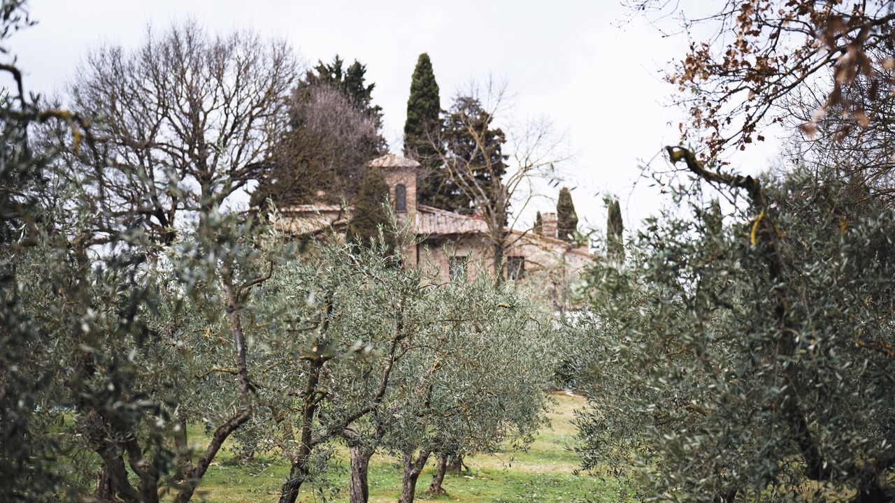Photo of Outdoor in Cetona