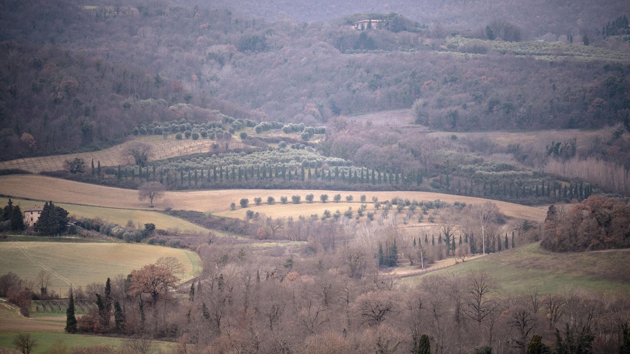 Photo of Outdoor in Cetona