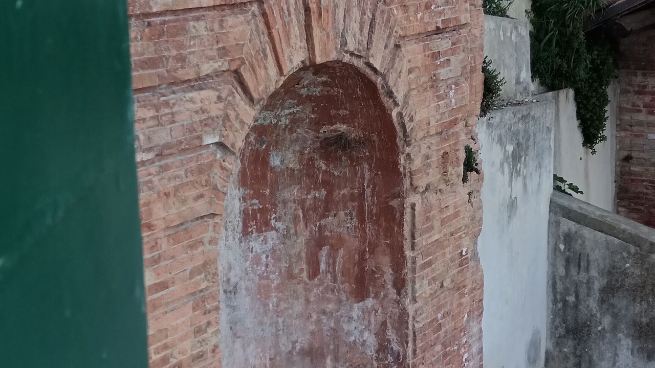 Photo of Others in Predappio