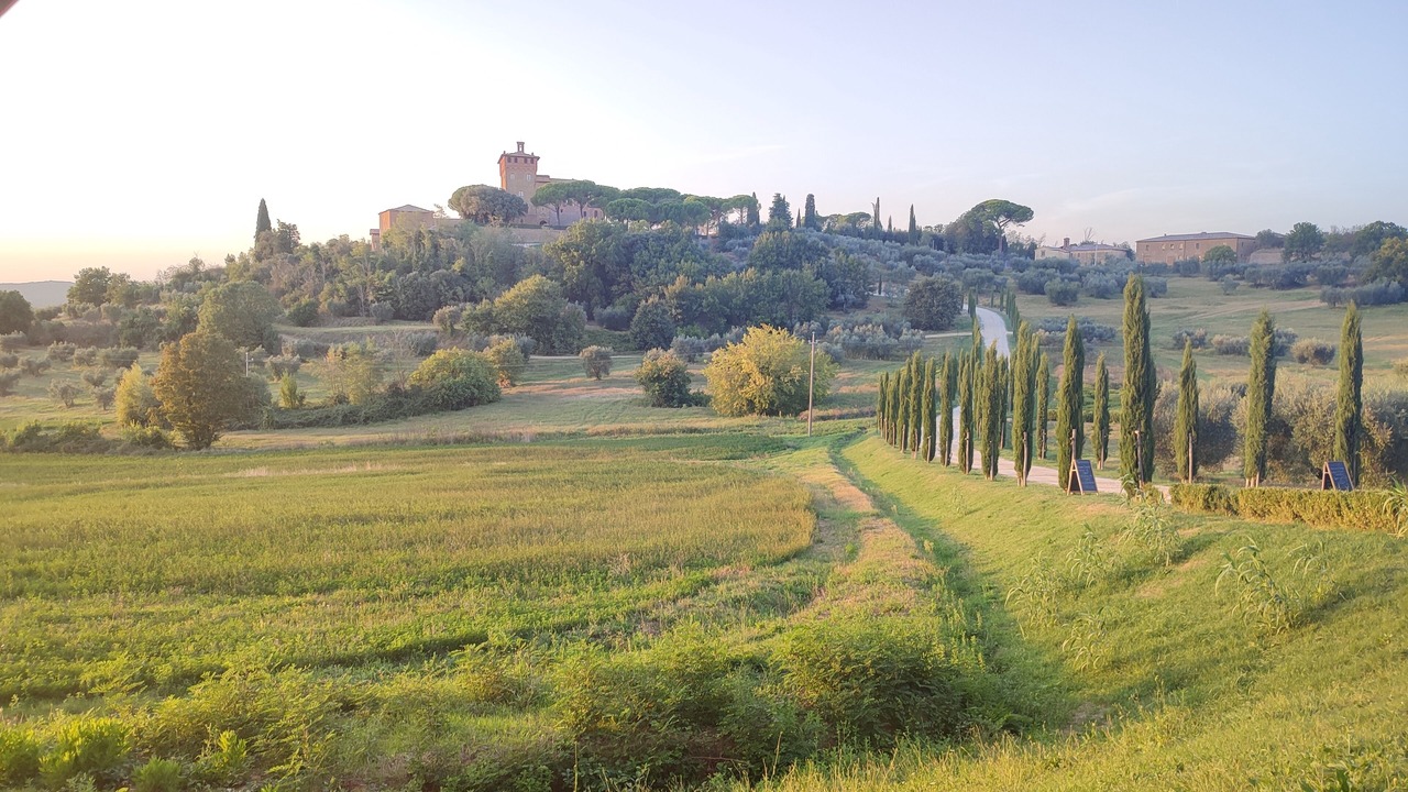 Photo of Others in Torrita di Siena