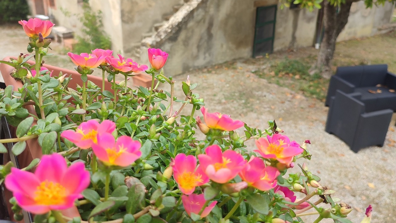 Photo of Outdoor in Torrita di Siena