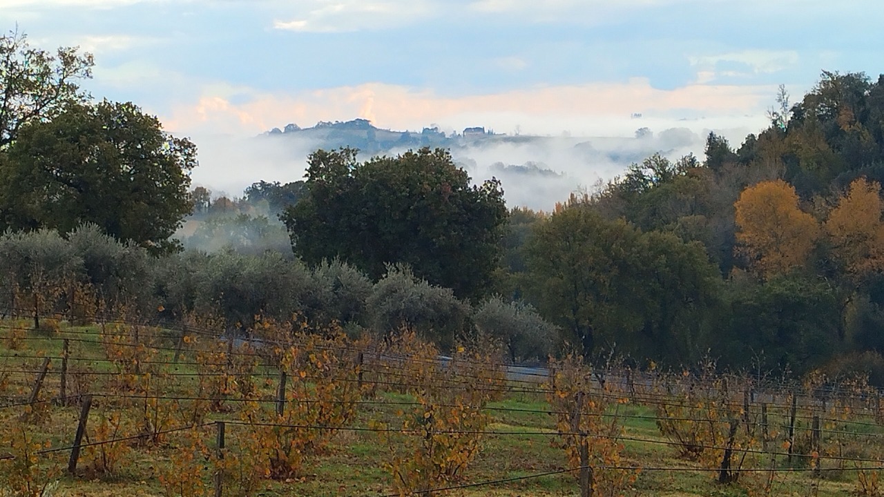 Photo of Others in Narni