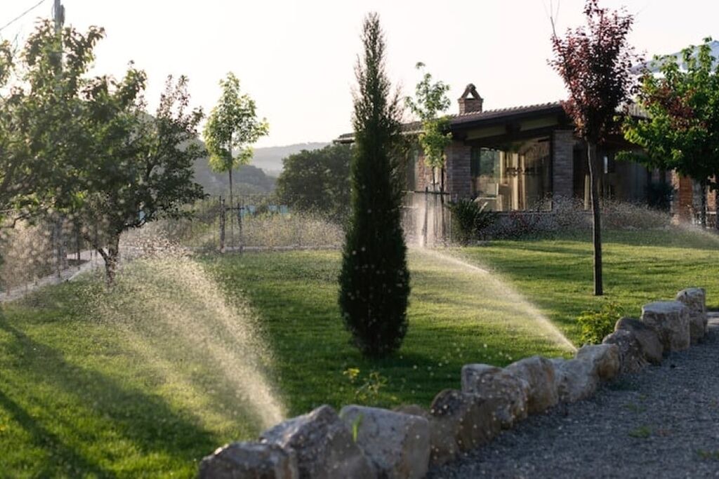 Photo of Outdoor in Corbara
