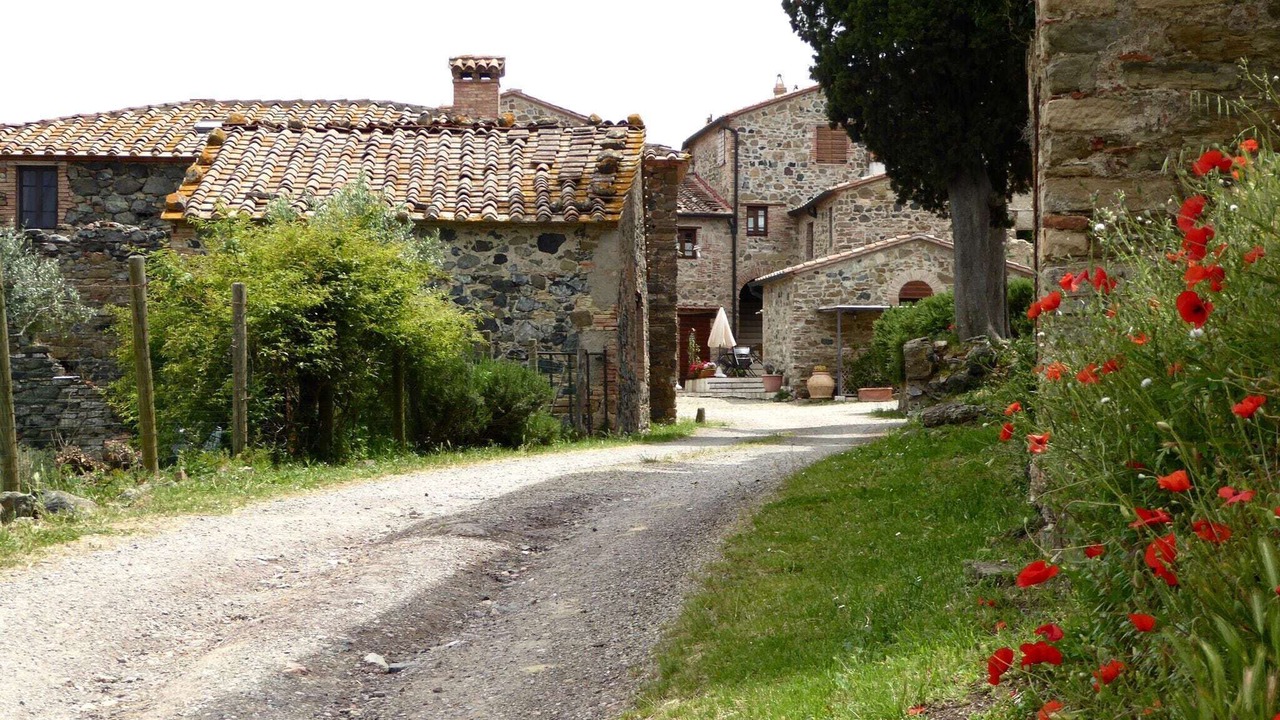 Photo of Outdoor in Montecastelli